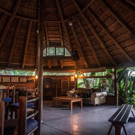 Fairy Knowe Backpackers Lodge Wilderness Bagian luar foto