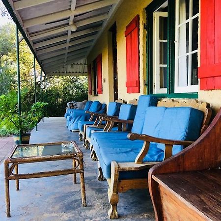 Fairy Knowe Backpackers Lodge Wilderness Bagian luar foto
