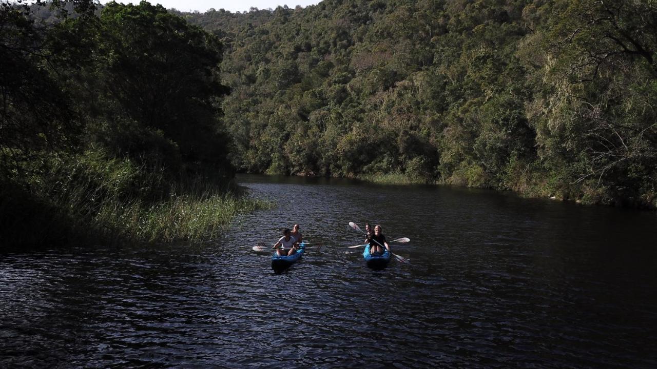 Fairy Knowe Backpackers Lodge Wilderness Bagian luar foto