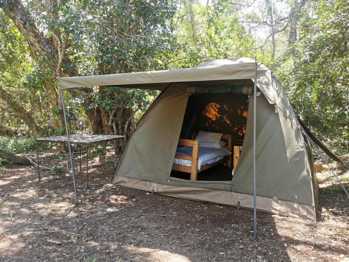 Fairy Knowe Backpackers Lodge Wilderness Bagian luar foto