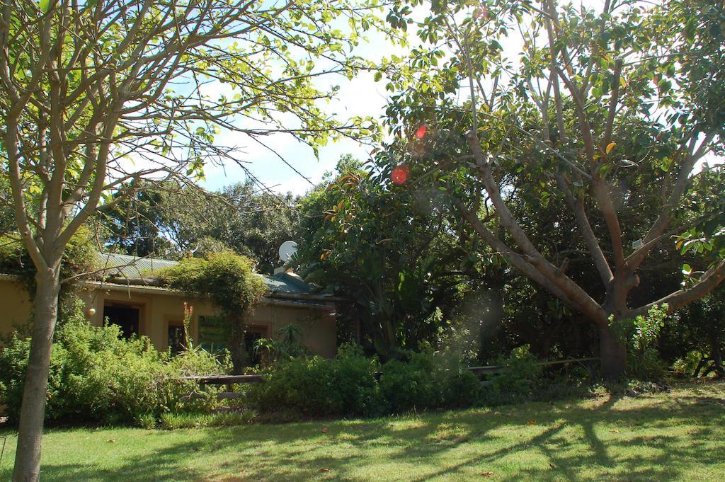 Fairy Knowe Backpackers Lodge Wilderness Bagian luar foto
