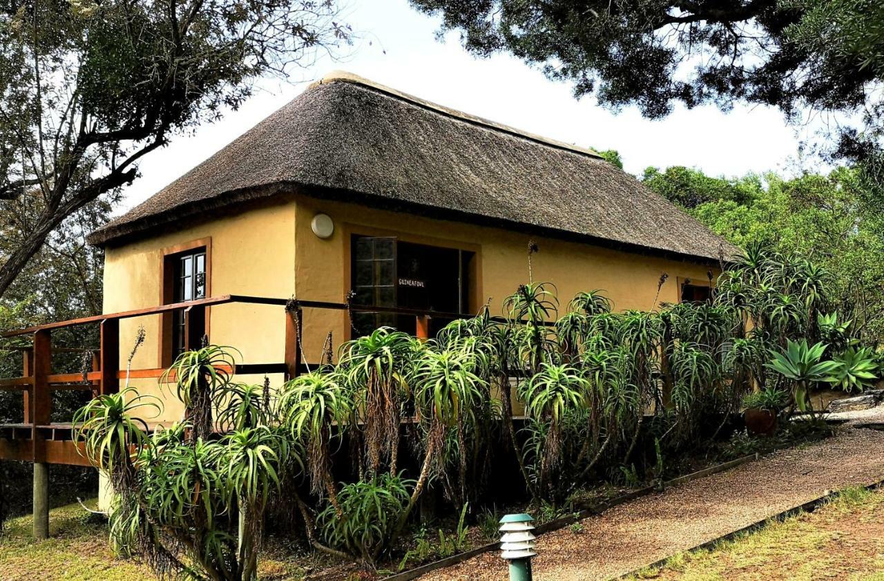 Fairy Knowe Backpackers Lodge Wilderness Bagian luar foto