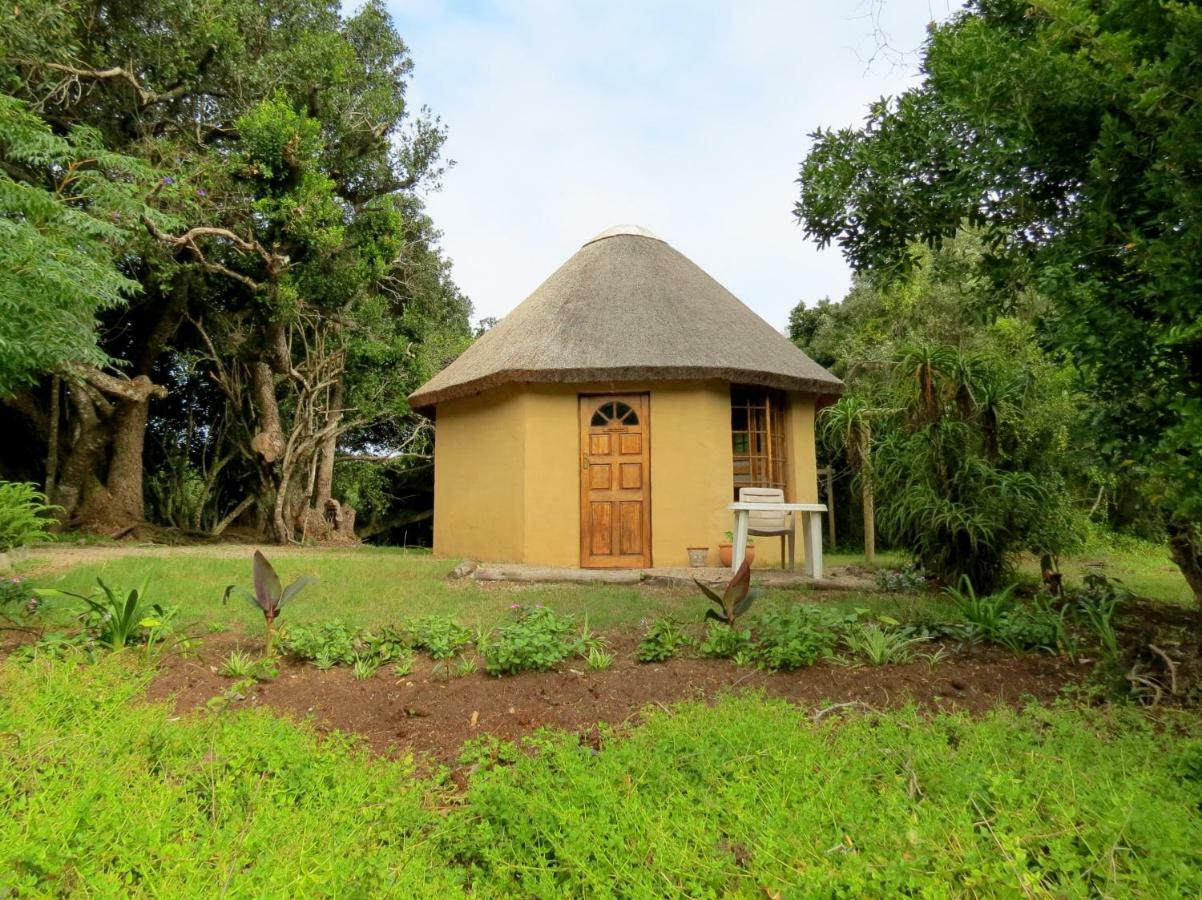 Fairy Knowe Backpackers Lodge Wilderness Bagian luar foto