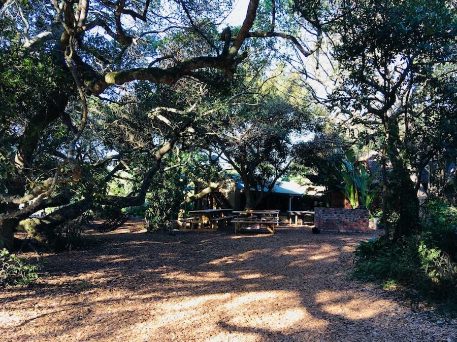 Fairy Knowe Backpackers Lodge Wilderness Bagian luar foto